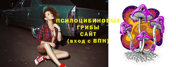 индика Володарск