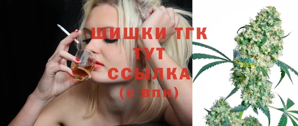 индика Володарск