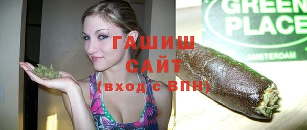 индика Володарск