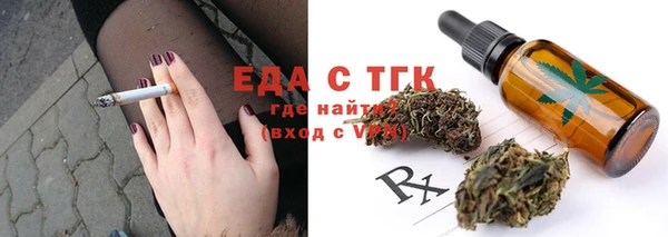индика Володарск