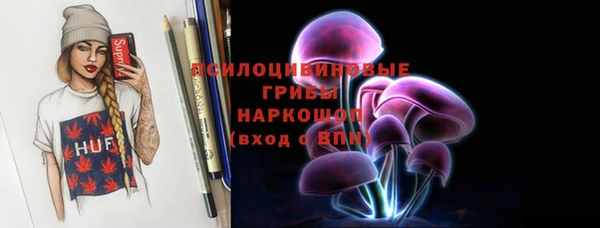 индика Володарск
