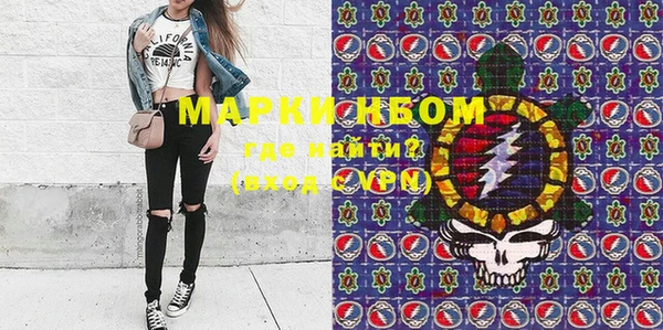 индика Володарск