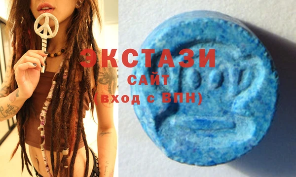 индика Володарск