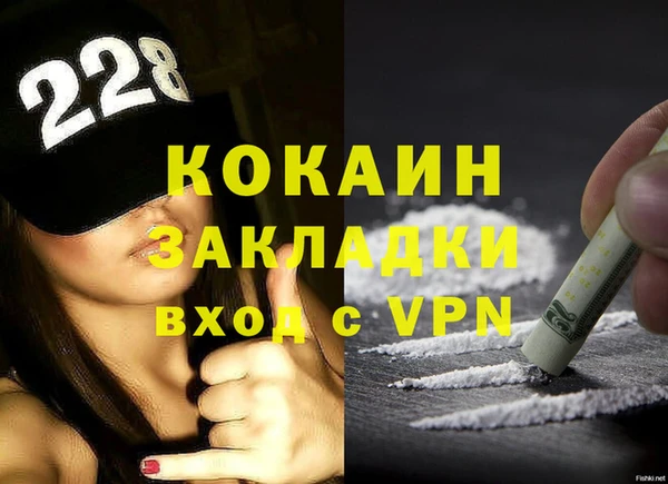 индика Володарск