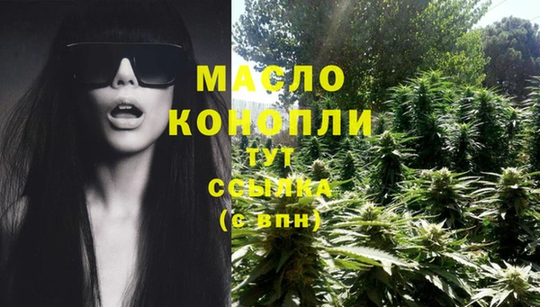 ешки Сясьстрой