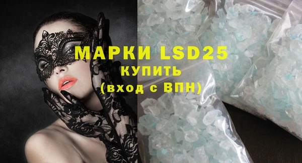индика Володарск