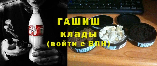 индика Володарск
