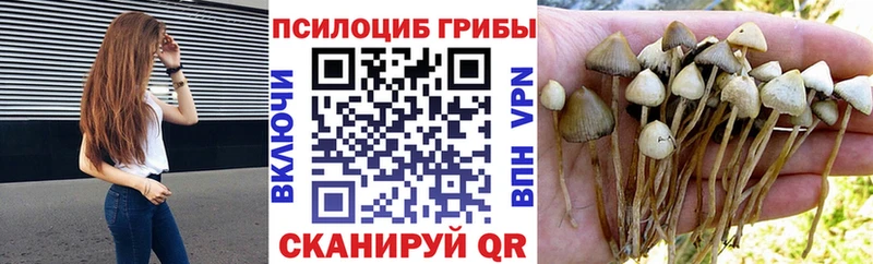 Псилоцибиновые грибы GOLDEN TEACHER  Карачев 